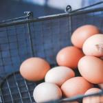 Защо сънувате сурови пилешки яйца без черупки? Да видите яйчен жълтък насън