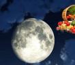 Календар на лунната диета: как луната ви помага да отслабнете?