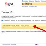 Как да премахнете страници от индекса на Google и Yandex