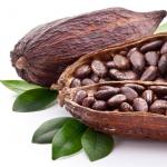 Kakao: zdravotné výhody a škody